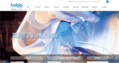 Desktop Screenshot of jnbaibo.com